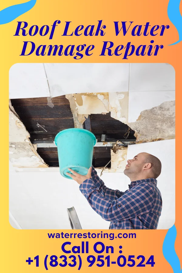 Roof Leak Water Damage Repair in Muniz, TX