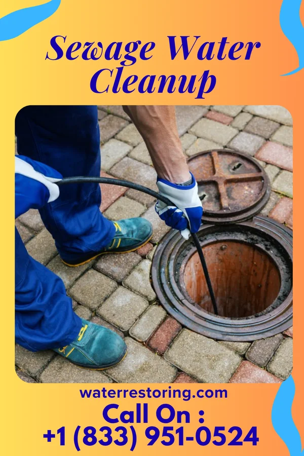 Sewage Water Cleanup in Muniz, TX